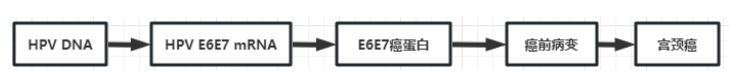 640 (1) 640 (1)